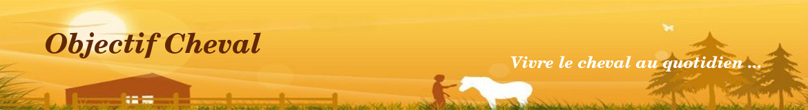 Objectif Cheval